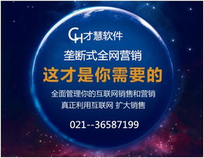 上海网络营销谈 企业网销以效益为核心模式